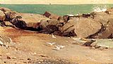 Winslow Homer - Rocky Coast and Gulls painting